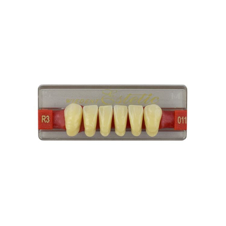 Acrylic teeth lower anteriors no 011, color R3, 6 pieces – oficiali Falcon Medical produkto nuotrauka