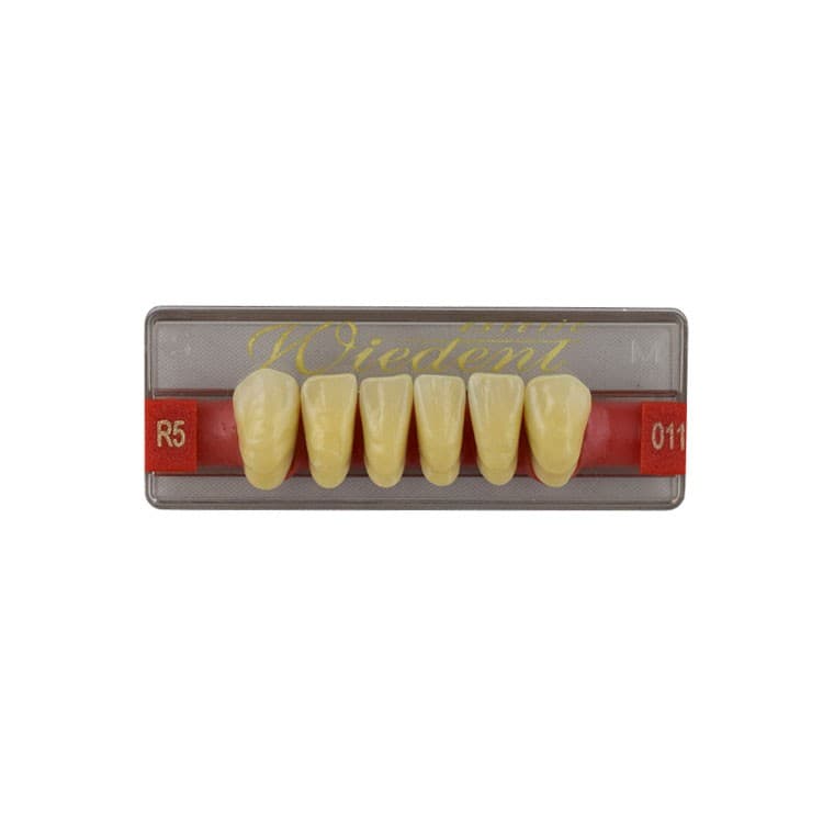 Acrylic teeth lower anteriors no 011, color R5, 6 pieces – oficiali Falcon Medical produkto nuotrauka