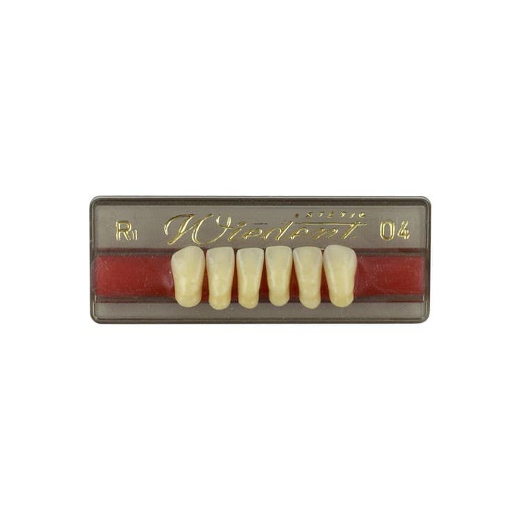 Acrylic teeth lower anteriors no 04, color R1, 6 pieces – oficiali Falcon Medical produkto nuotrauka