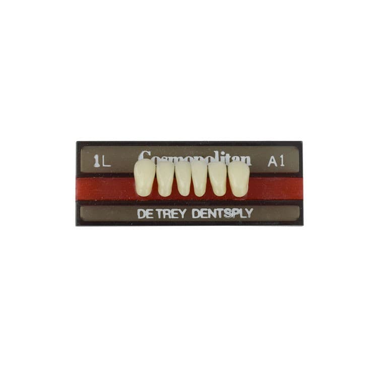 Acrylic teeth lower anteriors no 1L, color A1, 6 pieces – oficiali Falcon Medical produkto nuotrauka