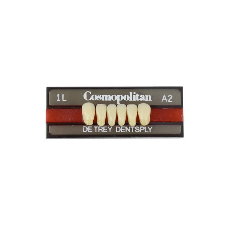 Acrylic teeth lower anteriors no 1L, color A2, 6 pieces – oficiali Falcon Medical produkto nuotrauka