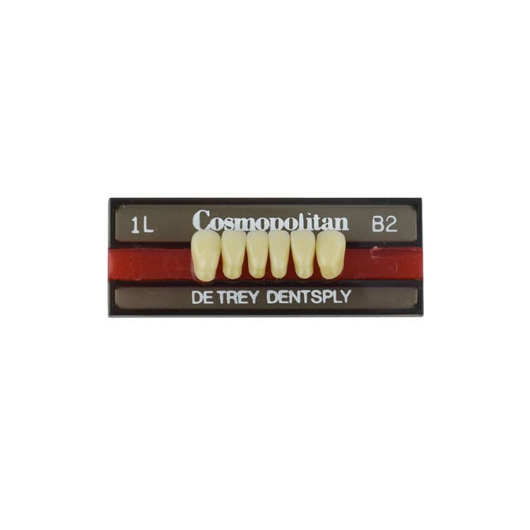 Acrylic teeth lower anteriors no 1L, color B2, 6 pieces – oficiali Falcon Medical produkto nuotrauka