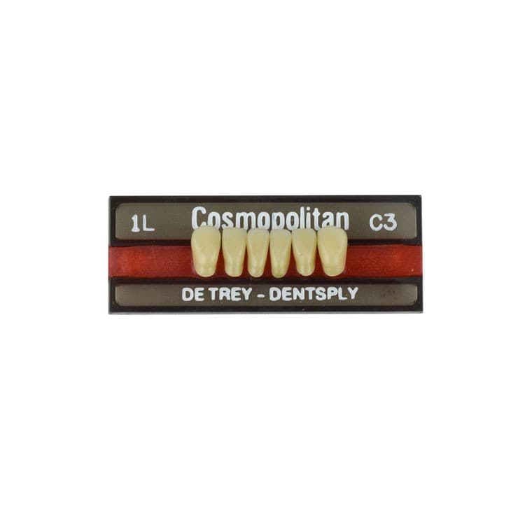 Acrylic teeth lower anteriors no 1L, color C3, 6 pieces – oficiali Falcon Medical produkto nuotrauka