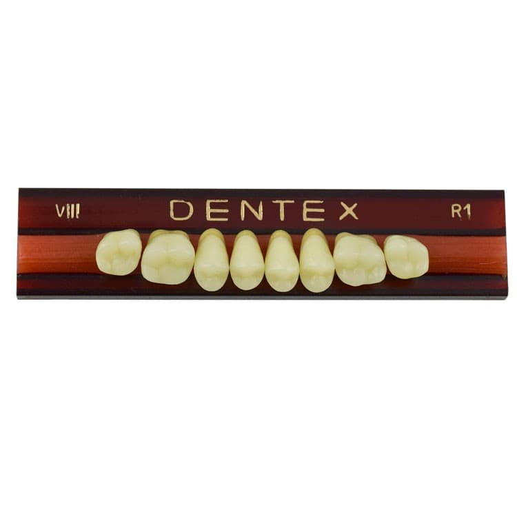 Acrylic teeth upper posteriors no VIII , color R1, 8 pieces – oficiali Falcon Medical produkto nuotrauka
