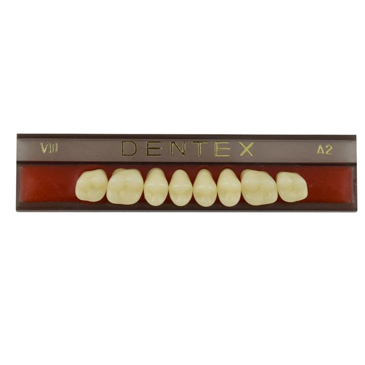 Acrylic teeth upper posteriors no VIII , color A2, 8 pieces – oficiali Falcon Medical produkto nuotrauka