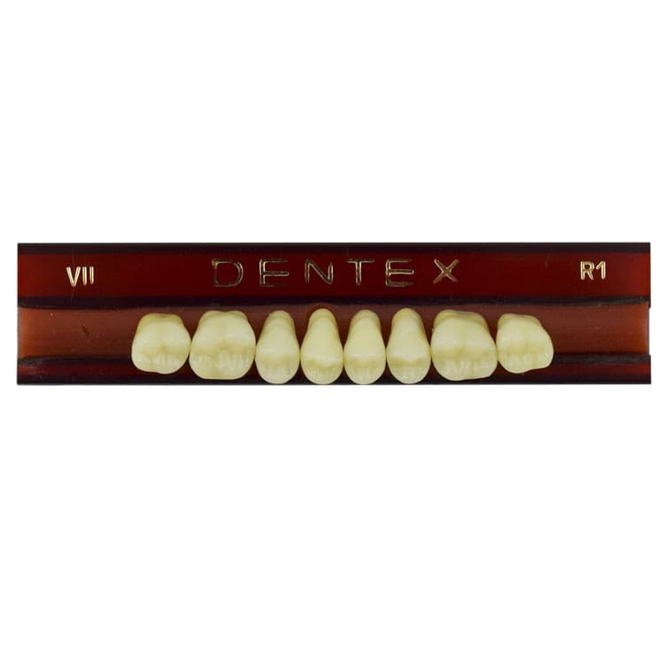 Acrylic teeth upper posteriors no VII , color R1, 8 pieces – oficiali Falcon Medical produkto nuotrauka