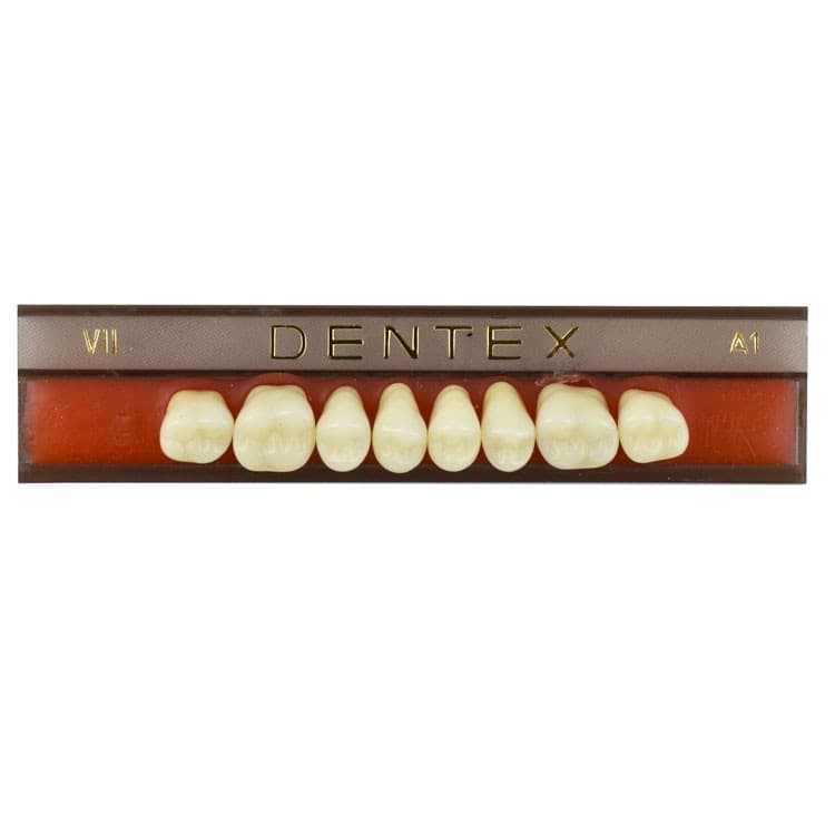 Acrylic teeth upper posteriors no VII , color A1, 8 pieces – oficiali Falcon Medical produkto nuotrauka