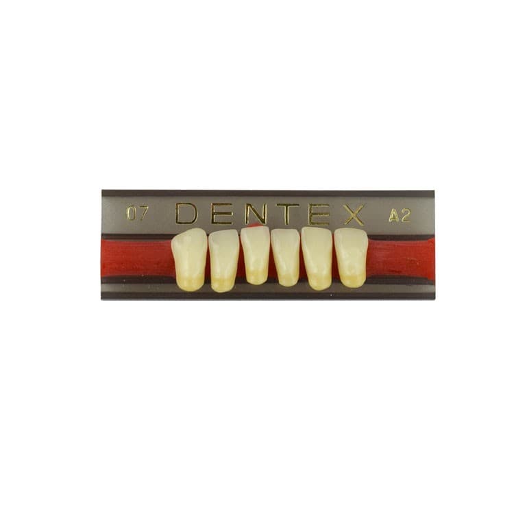 Acrylic teeth lower anteriors no 07, color A2, 6 pieces – oficiali Falcon Medical produkto nuotrauka
