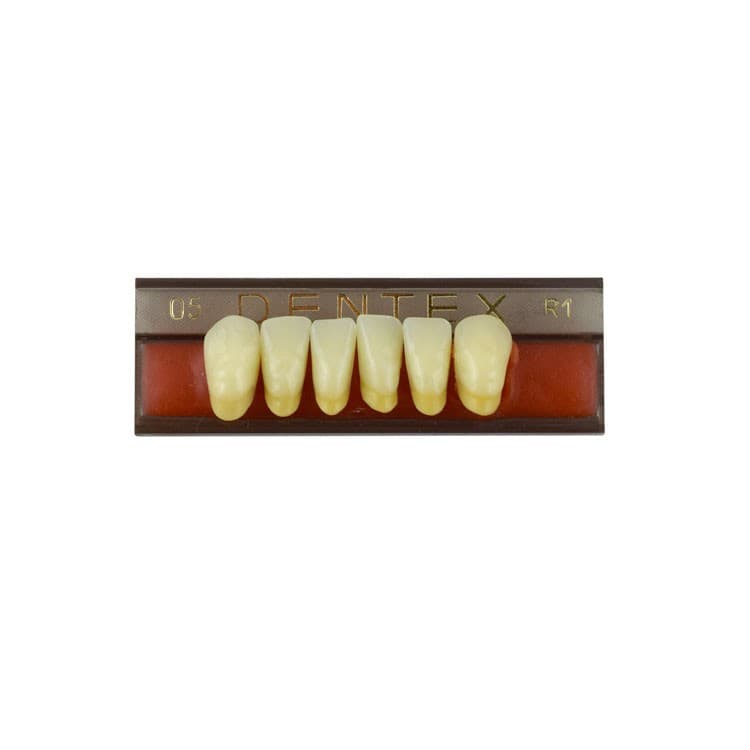 Acrylic teeth lower anteriors no 05, color R1, 6 pieces – oficiali Falcon Medical produkto nuotrauka