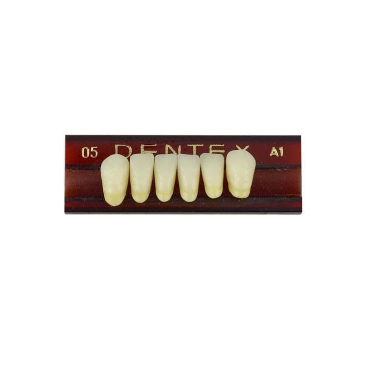 Acrylic teeth lower anteriors no 05, color A1, 6 pieces – oficiali Falcon Medical produkto nuotrauka