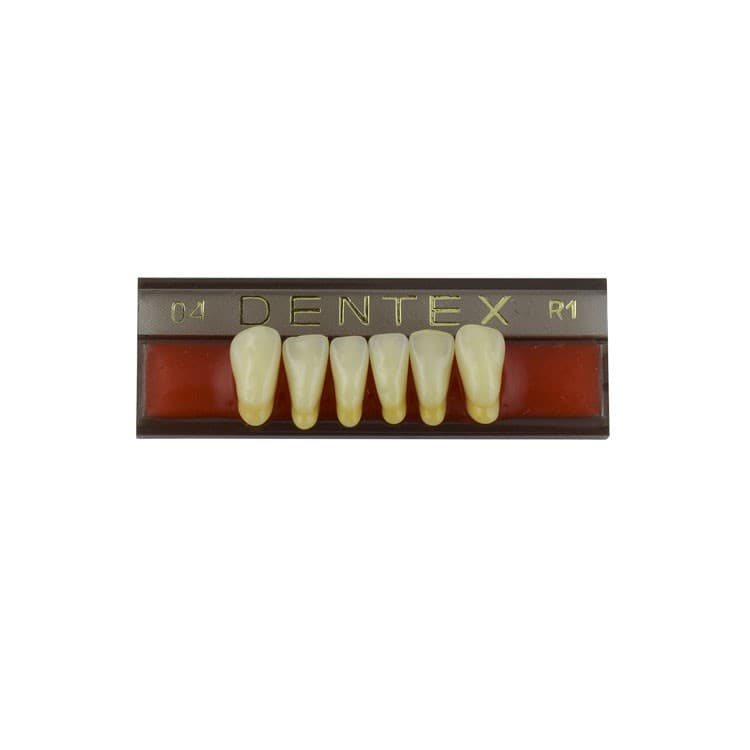 Acrylic teeth lower anteriors no 04, color R1, 6 pieces – oficiali Falcon Medical produkto nuotrauka