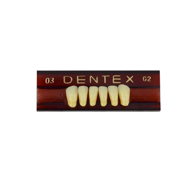 Acrylic teeth lower anteriors no 03, color G2, 6 pieces – oficiali Falcon Medical produkto nuotrauka