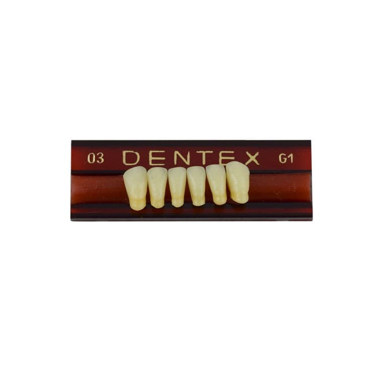 Acrylic teeth lower anteriors no 03, color G1, 6 pieces – oficiali Falcon Medical produkto nuotrauka