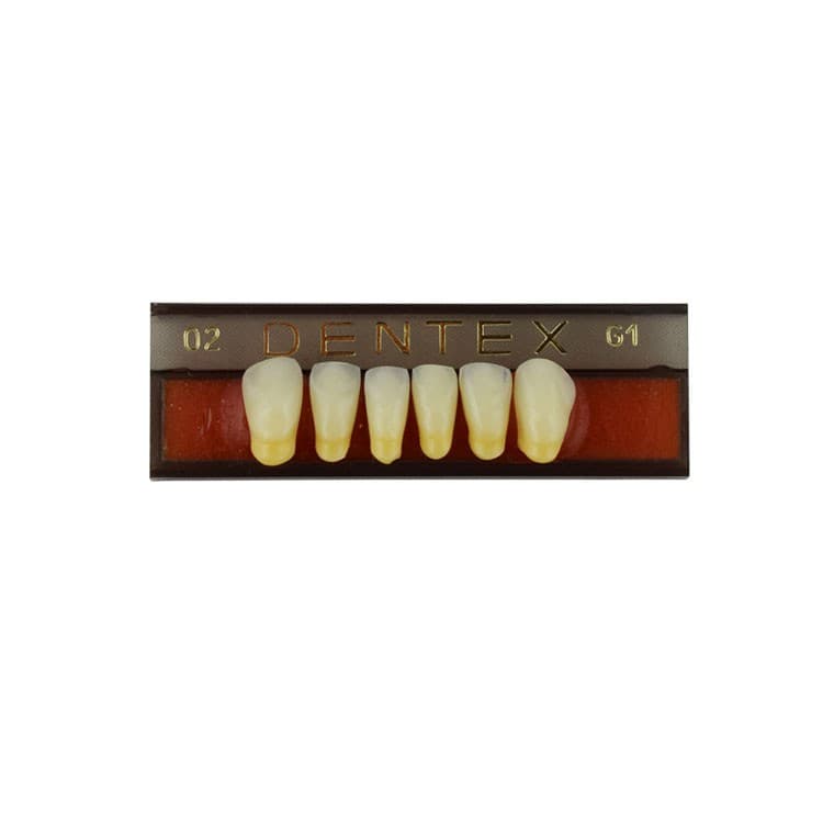 Acrylic teeth lower anteriors no 02, color G1, 6 pieces – oficiali Falcon Medical produkto nuotrauka