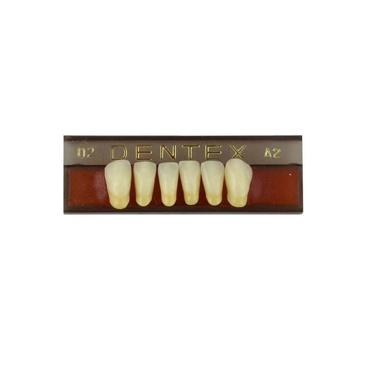 Acrylic teeth lower anteriors no 02, color A2, 6 pieces – oficiali Falcon Medical produkto nuotrauka