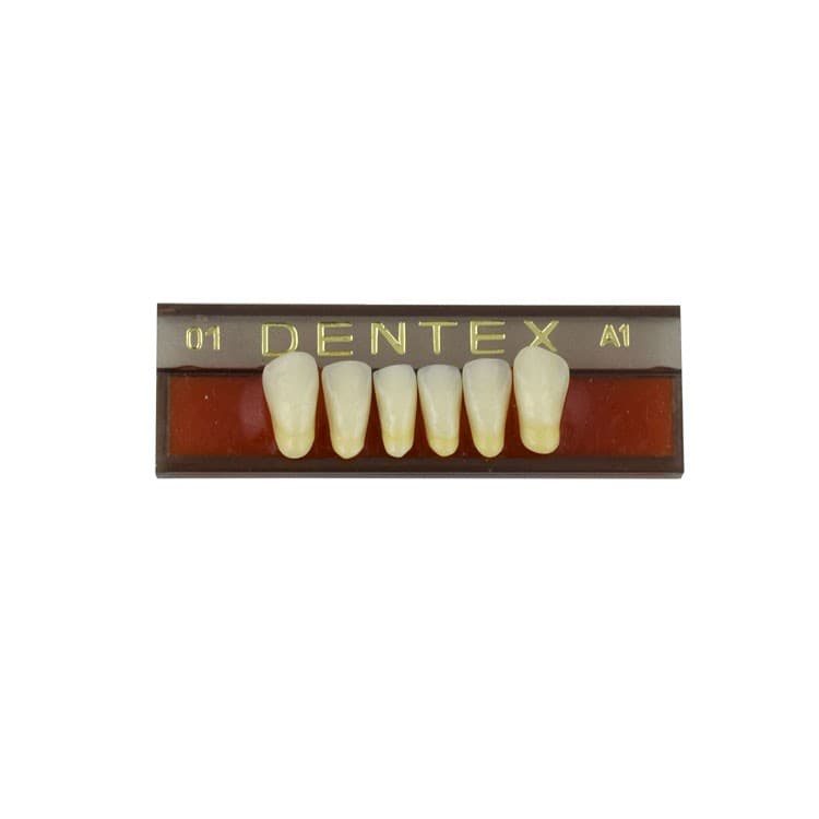 Acrylic teeth lower anteriors no 01, color A1, 6 pieces – oficiali Falcon Medical produkto nuotrauka