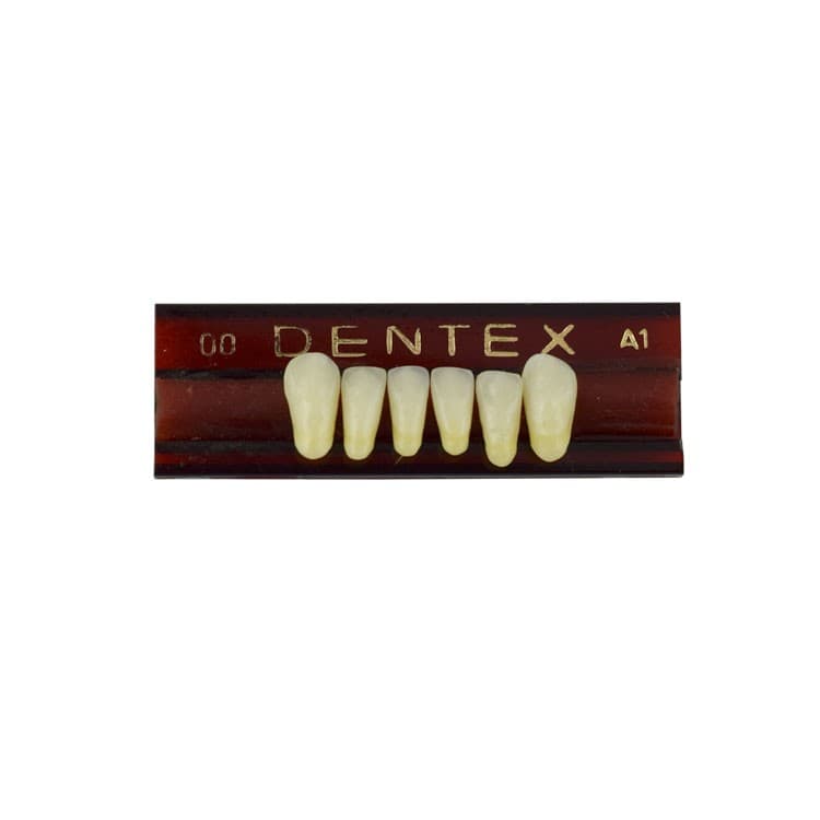 Acrylic teeth lower anteriors no 00, color A1, 6 pieces – oficiali Falcon Medical produkto nuotrauka