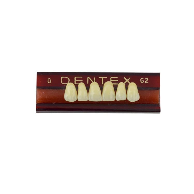 Acrylic teeth upper anteriors no 0, color G2, 6 pieces – oficiali Falcon Medical produkto nuotrauka
