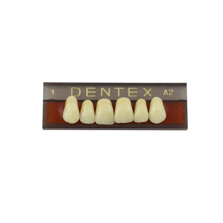 Acrylic teeth upper anteriors no 1, color A2, 6 pieces – oficiali Falcon Medical produkto nuotrauka