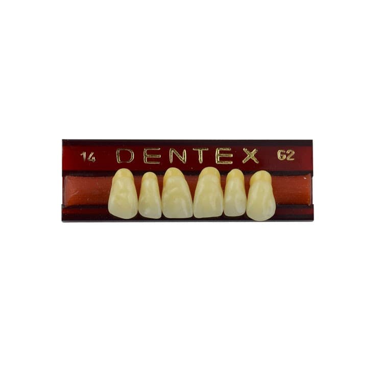 Acrylic teeth upper anteriors no 14, color G2, 6 pieces – oficiali Falcon Medical produkto nuotrauka