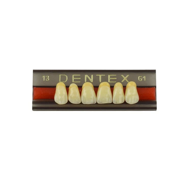 Acrylic teeth upper anteriors no 13, color G1, 6 pieces – oficiali Falcon Medical produkto nuotrauka