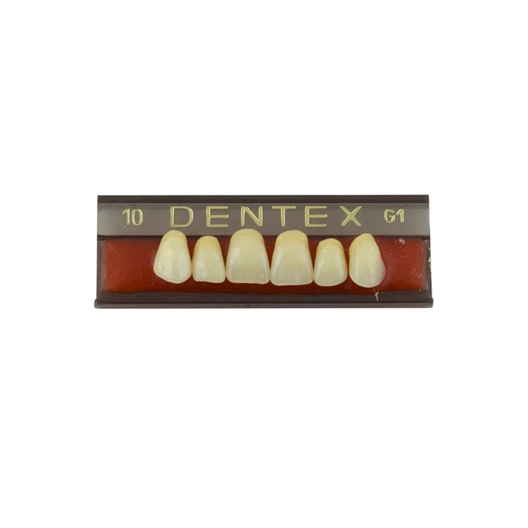 Acrylic teeth upper anteriors no 10, color G1, 6 pieces – oficiali Falcon Medical produkto nuotrauka