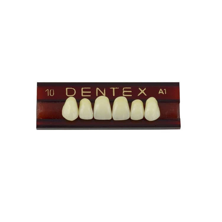 Acrylic teeth upper anteriors no 10, color A1, 6 pieces – oficiali Falcon Medical produkto nuotrauka