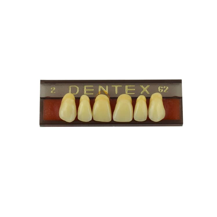 Acrylic teeth upper anteriors no 2, color G2, 6 pieces – oficiali Falcon Medical produkto nuotrauka