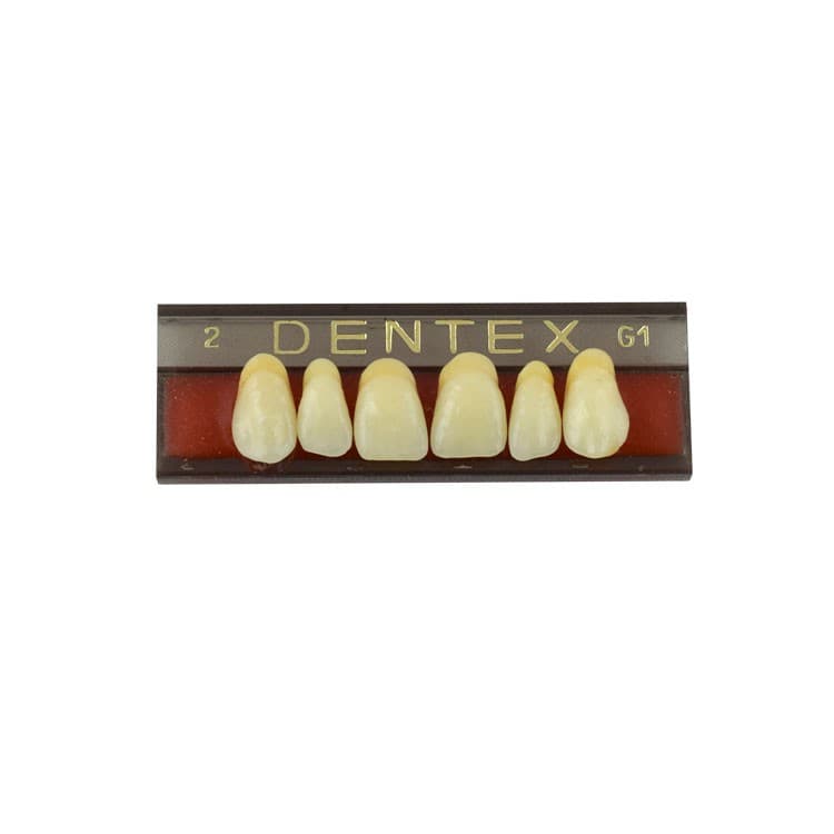 Acrylic teeth upper anteriors no 2, color G1, 6 pieces – oficiali Falcon Medical produkto nuotrauka