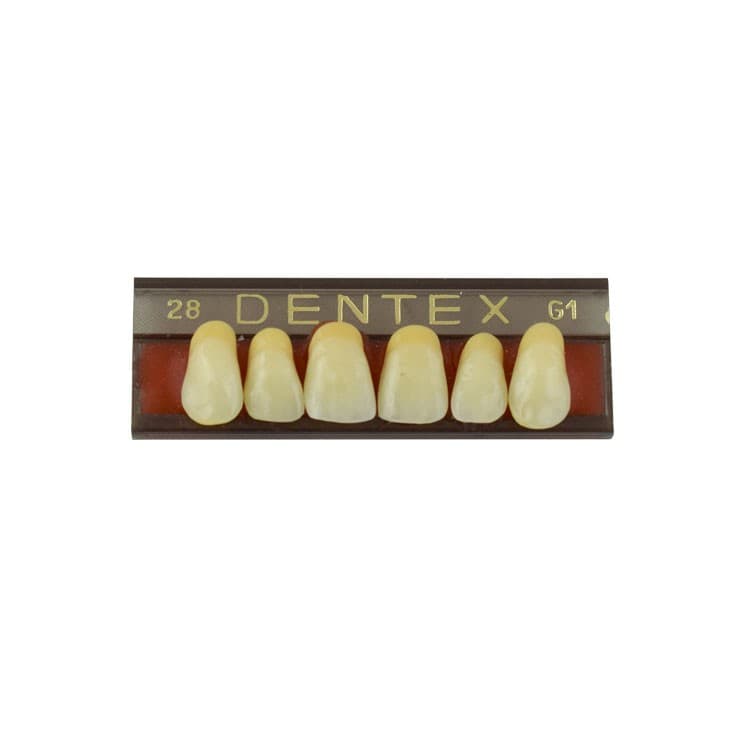 Acrylic teeth upper anteriors no 28, color G1, 6 pieces – oficiali Falcon Medical produkto nuotrauka