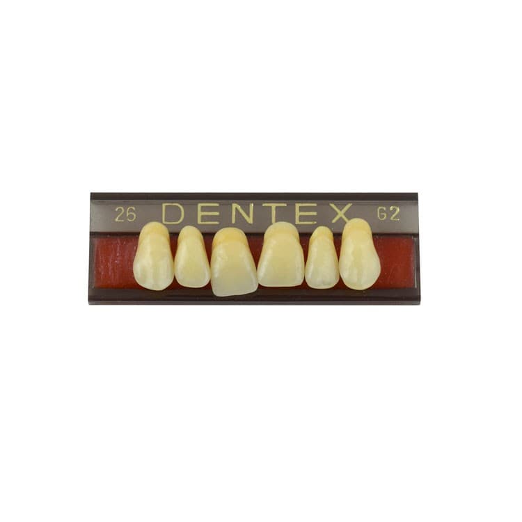 Acrylic teeth upper anteriors no 26, color G2, 6 pieces – oficiali Falcon Medical produkto nuotrauka