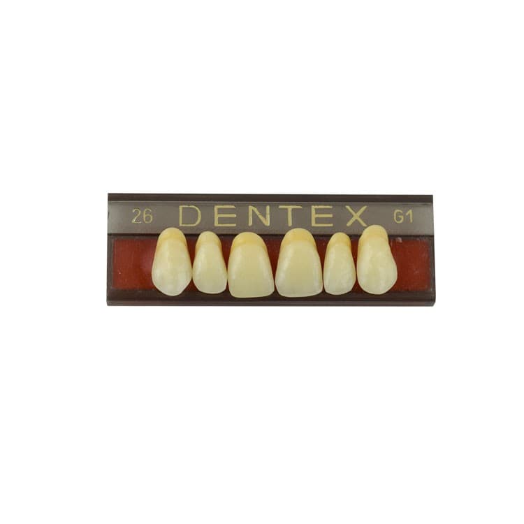 Acrylic teeth upper anteriors no 26, color G1, 6 pieces – oficiali Falcon Medical produkto nuotrauka