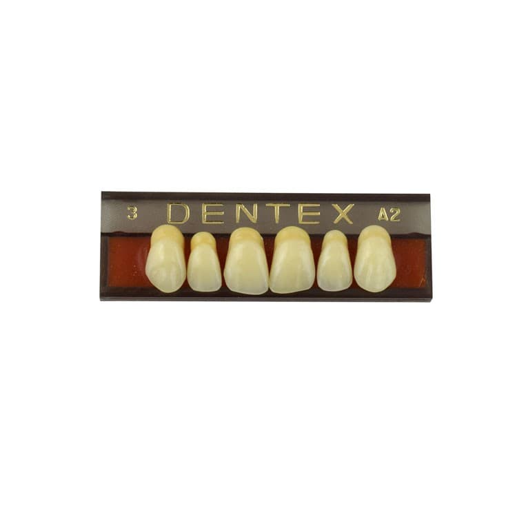 Acrylic teeth upper anteriors no 3, color A2, 6 pieces – oficiali Falcon Medical produkto nuotrauka