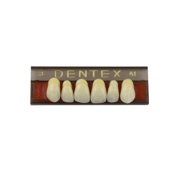 Acrylic teeth upper anteriors no 3, color A1, 6 pieces – oficiali Falcon Medical produkto nuotrauka