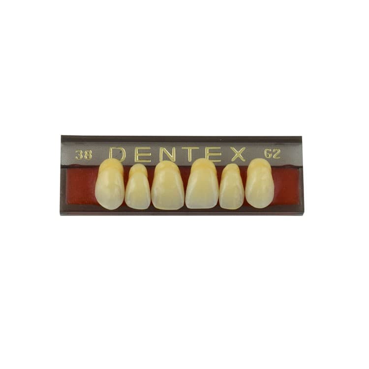 Acrylic teeth upper anteriors no 38, color G2, 6 pieces – oficiali Falcon Medical produkto nuotrauka