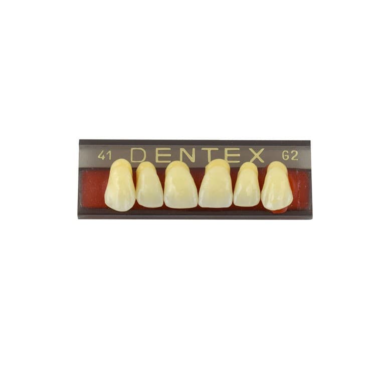 Acrylic teeth upper anteriors no 41, color G2, 6 pieces – oficiali Falcon Medical produkto nuotrauka