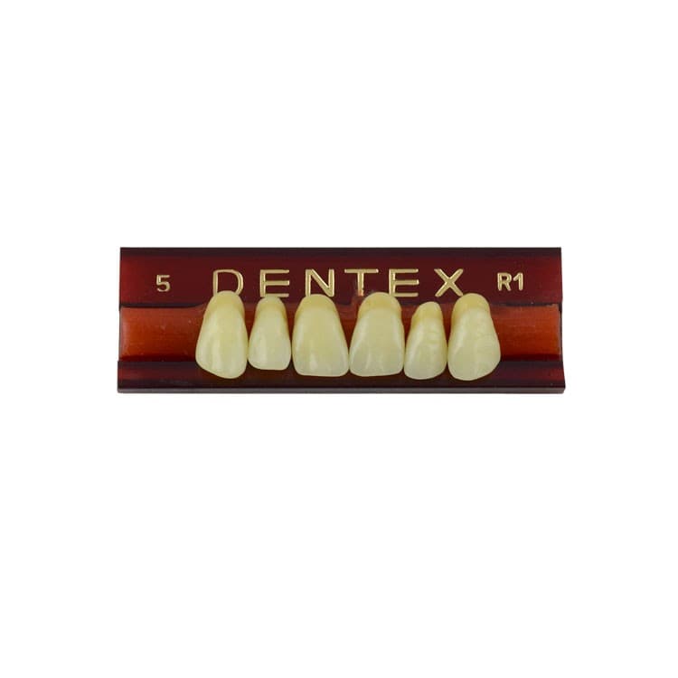 Acrylic teeth upper anteriors no 5, color R1, 6 pieces – oficiali Falcon Medical produkto nuotrauka