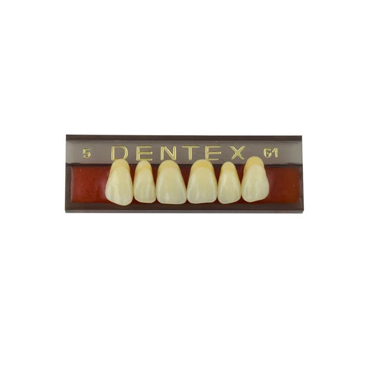 Acrylic teeth upper anteriors no 5, color G1, 6 pieces – oficiali Falcon Medical produkto nuotrauka
