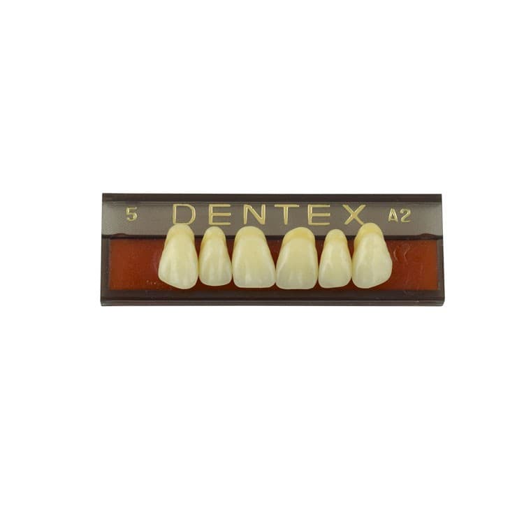 Acrylic teeth upper anteriors no 5, color A2, 6 pieces – oficiali Falcon Medical produkto nuotrauka