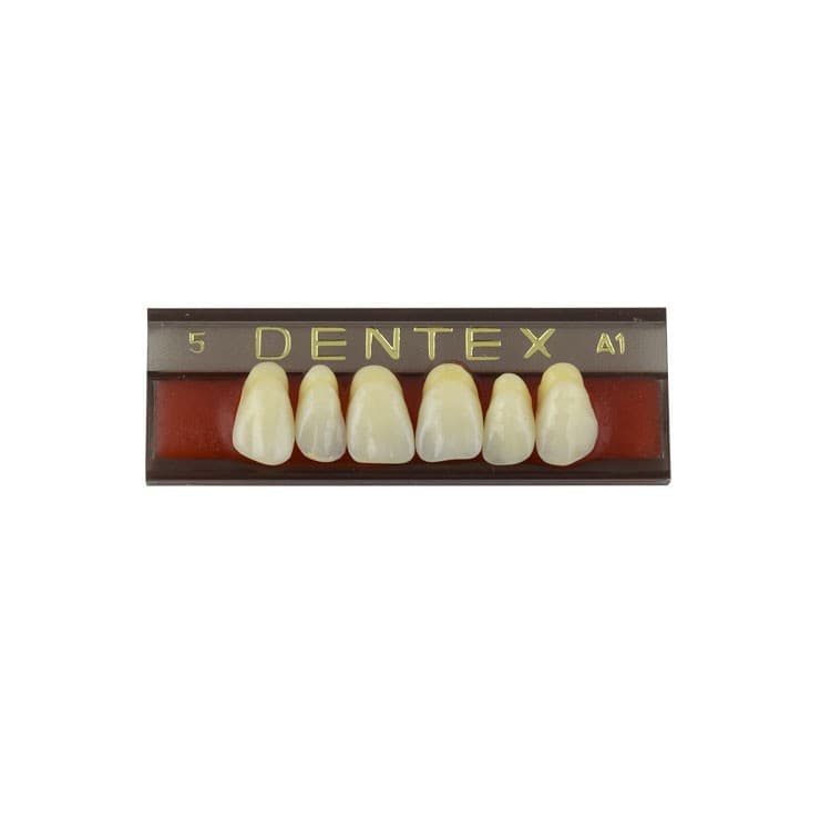 Acrylic teeth upper anteriors no 5, color A1, 6 pieces – oficiali Falcon Medical produkto nuotrauka