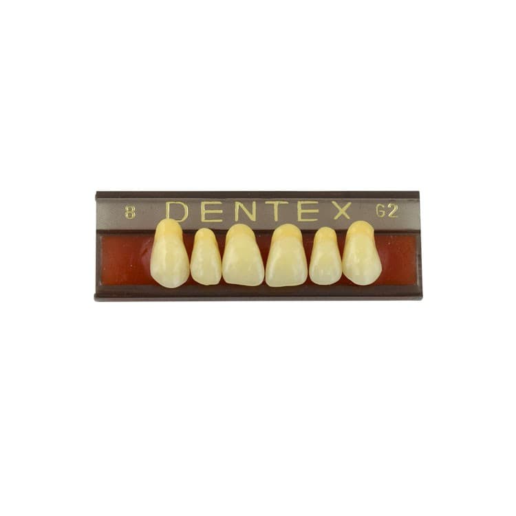 Acrylic teeth upper anteriors no 8, color G2, 6 pieces – oficiali Falcon Medical produkto nuotrauka