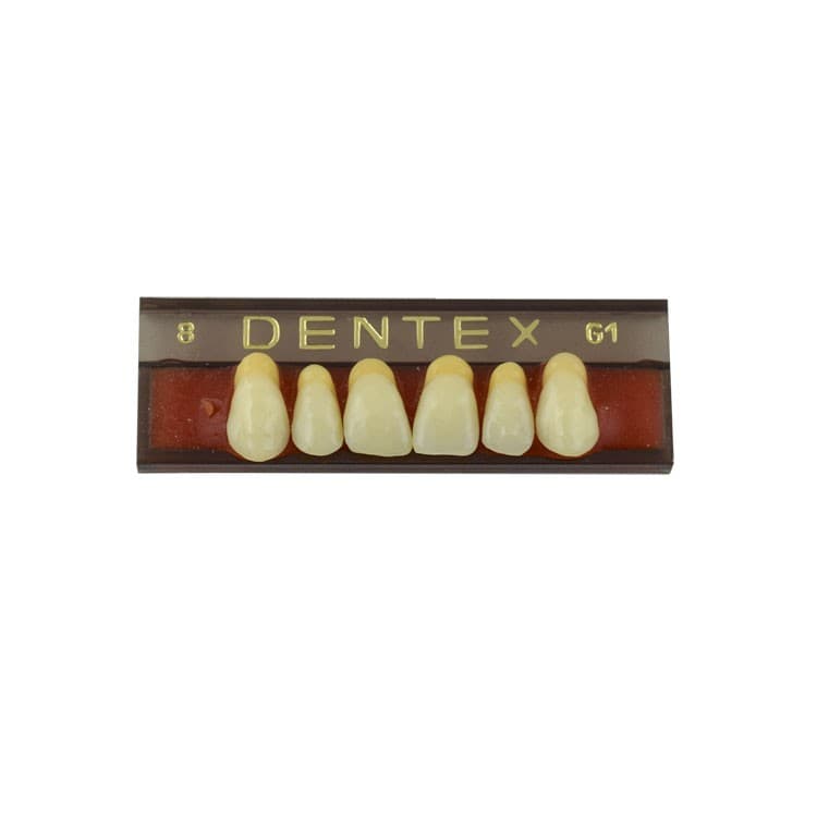 Acrylic teeth upper anteriors no 8, color G1, 6 pieces – oficiali Falcon Medical produkto nuotrauka
