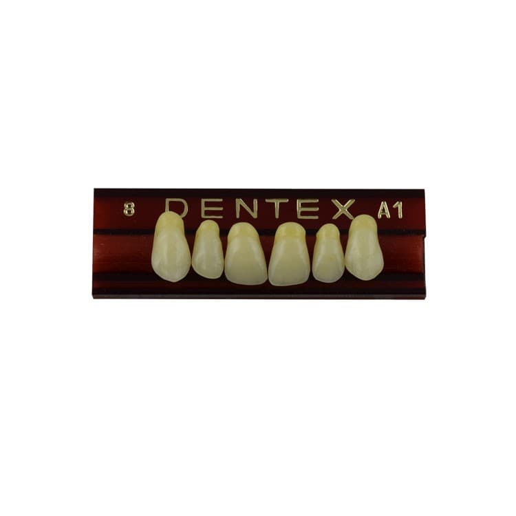 Acrylic teeth upper anteriors no 8, color A1, 6 pieces – oficiali Falcon Medical produkto nuotrauka