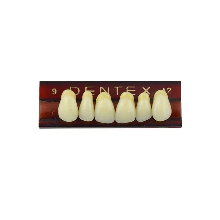 Acrylic teeth upper anteriors no 9, color A2, 6 pieces – oficiali Falcon Medical produkto nuotrauka