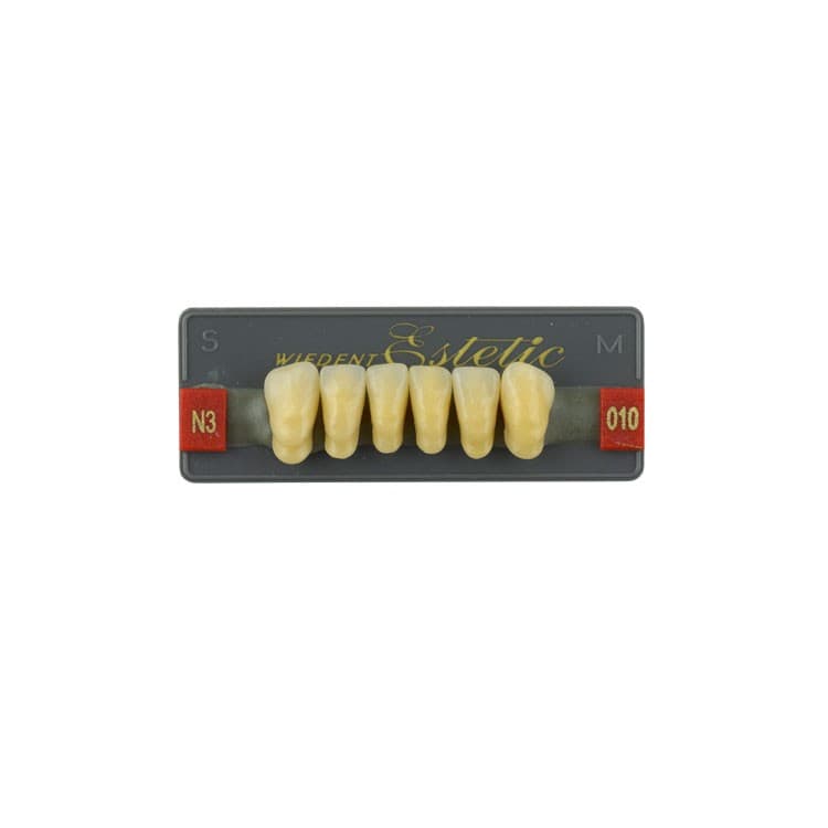 Acrylic teeth lower anteriors no 010, color N3, 6 pieces – oficiali Falcon Medical produkto nuotrauka