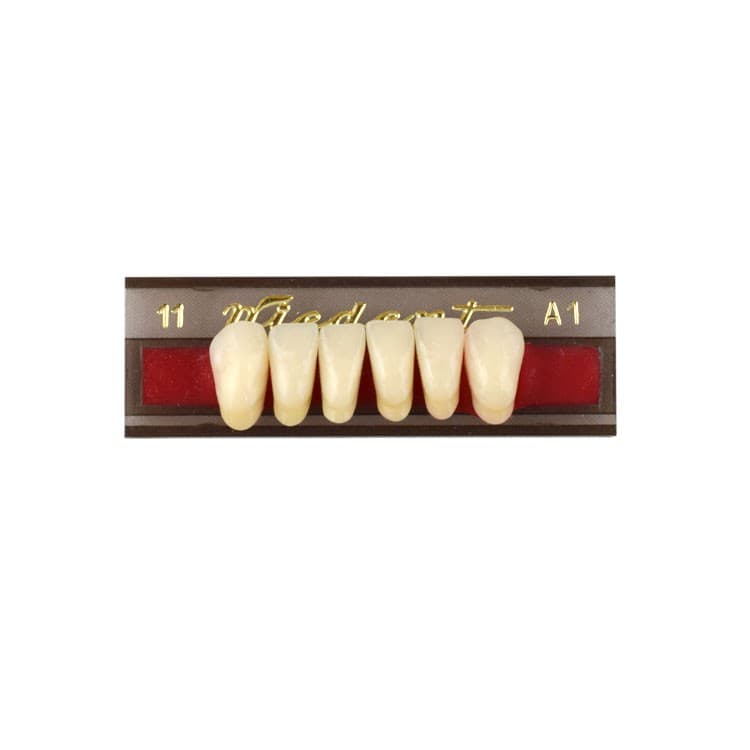 Acrylic teeth lower anteriors no 011, color A1, 6 pieces – oficiali Falcon Medical produkto nuotrauka
