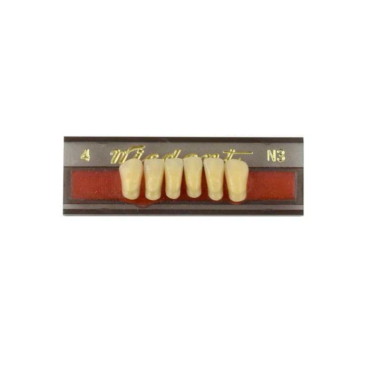Acrylic teeth lower anteriors no 04, color N3, 6 pieces – oficiali Falcon Medical produkto nuotrauka