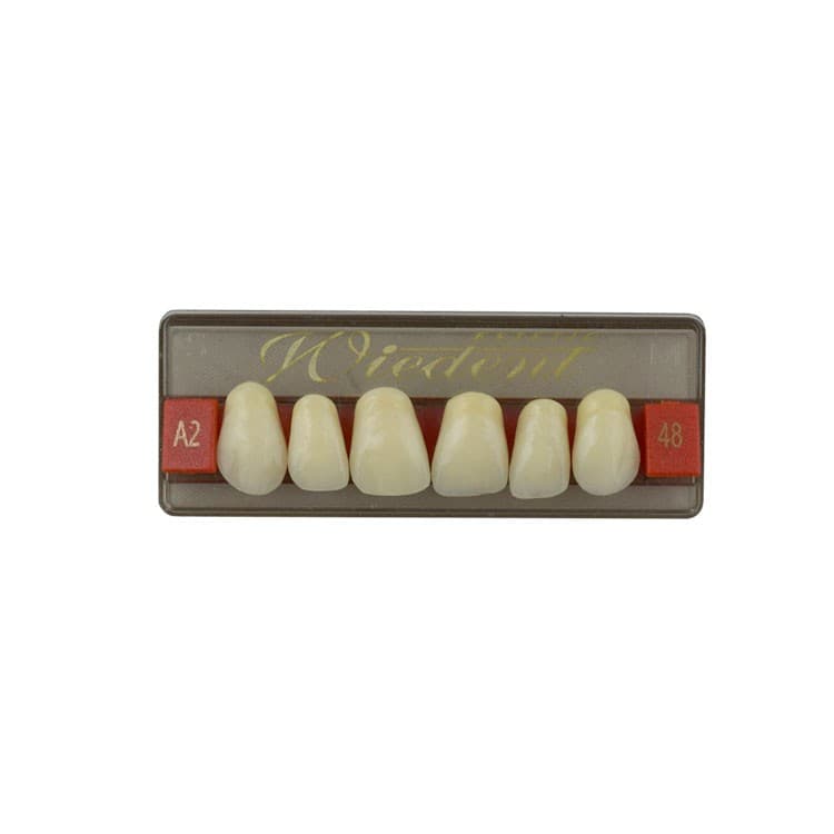 Acrylic teeth upper anteriors no 48, color A2, 6 pieces – oficiali Falcon Medical produkto nuotrauka