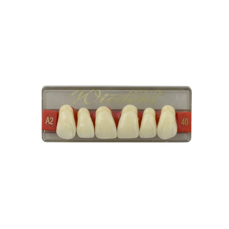 Acrylic teeth upper anteriors no 40, color A2, 6 pieces – oficiali Falcon Medical produkto nuotrauka