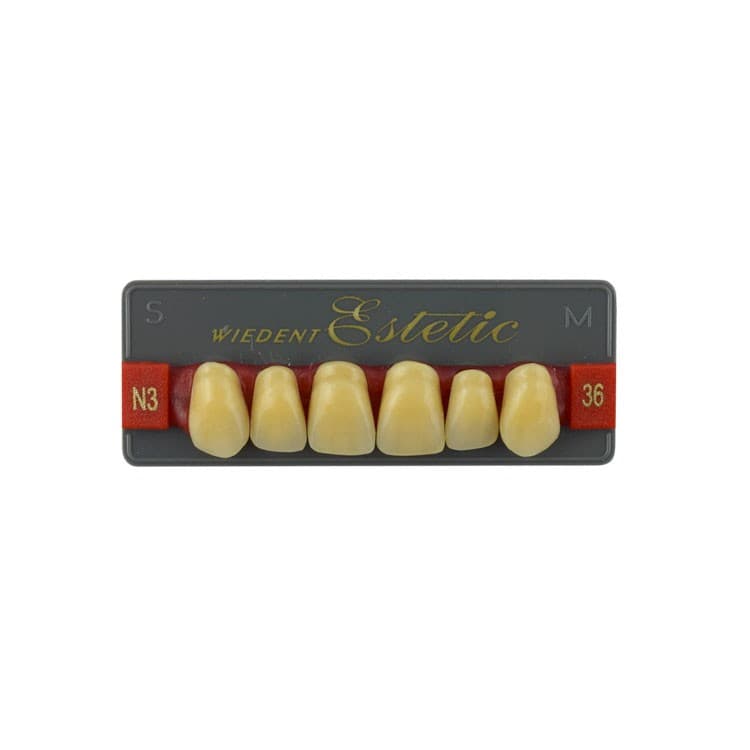 Acrylic teeth upper anteriors no 36, color N3, 6 pieces – oficiali Falcon Medical produkto nuotrauka